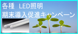 画像の説明